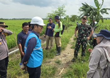 Lanjutkan Kinerja PLN Tahun 2024, PLN Dukung Ketahanan Pangan Melalui Program Electrifying Agriculture