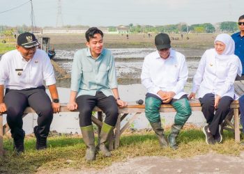 Wapres Gibran Tanam Padi Dan Tinjau Pabrik Beras di Ngawi bersama Khofifah
